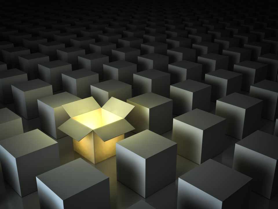 ブリッジ・オブ・キャリア プロジェクトの特徴